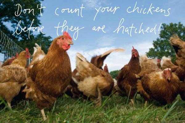 Don‘t count your chickens before they are hatched