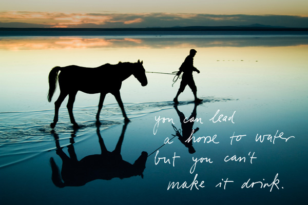 You can lead a horse to water but you can't make it drink