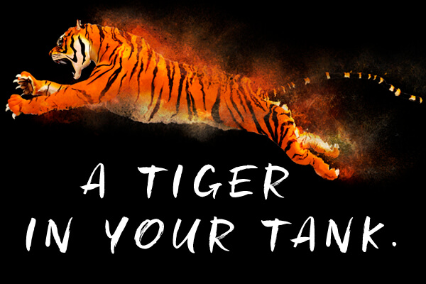 A tiger in your tank